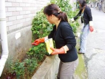 1578365487138996.jpg 小區(qū)滅鼠.jpg