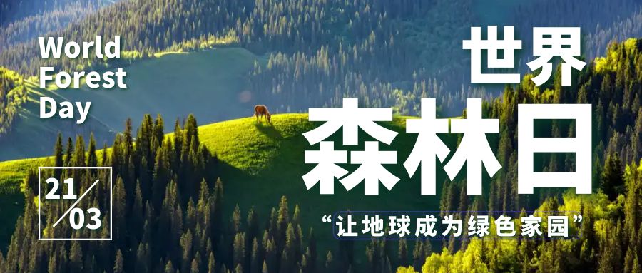共建綠色家園，共享森林盛宴：世界森林日活動策劃方案